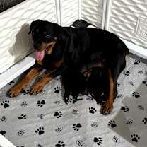 Thumbnail photo of Tahiti  #2