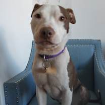 Thumbnail photo of Banks #2