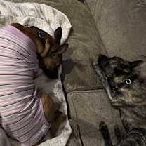 Thumbnail photo of Cali #3