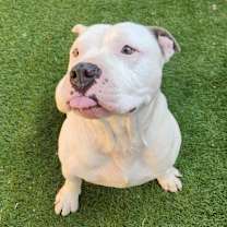 Thumbnail photo of Atticus JuM #2