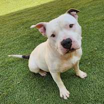 Thumbnail photo of Atticus JuM #3