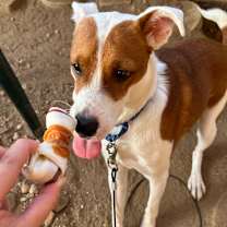 Thumbnail photo of Wyatt #4