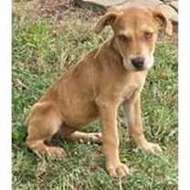 Thumbnail photo of Mam #1