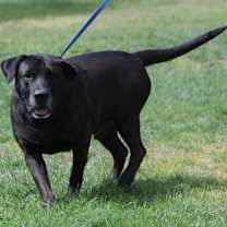 Thumbnail photo of SENIOR TACO #3