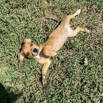 Thumbnail photo of Kiara #1