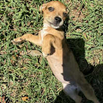 Thumbnail photo of Kiara #2