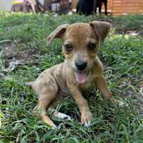 Thumbnail photo of Kiara #3