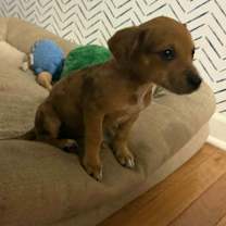 Thumbnail photo of Kiara #4