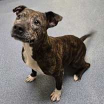 Thumbnail photo of Tina #1