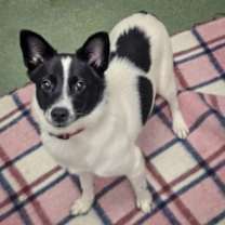 Thumbnail photo of Thelma #2