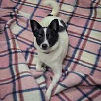 Thumbnail photo of Thelma #4