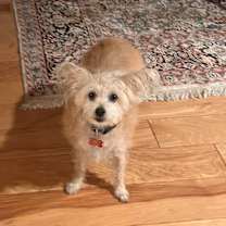 Thumbnail photo of Daisy Mae #3