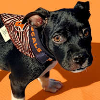 Thumbnail photo of Hawthorne #4