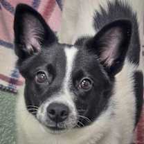 Thumbnail photo of Thelma #1