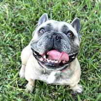 Thumbnail photo of Gump #2