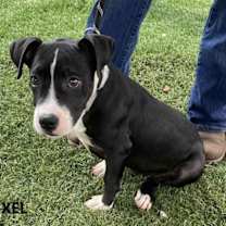 Thumbnail photo of Pixel #1