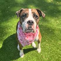 Thumbnail photo of Sophie #1