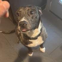 Thumbnail photo of Timber #3