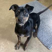 Thumbnail photo of Lumi #3