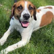 Thumbnail photo of Everest #1