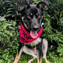 Thumbnail photo of Laura #2