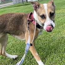 Thumbnail photo of Kitty #1