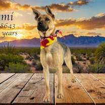 Thumbnail photo of Chikala AKA Demi #2