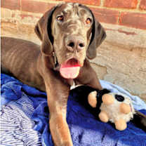 Thumbnail photo of Blayne #2