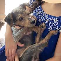 Thumbnail photo of Addy #3