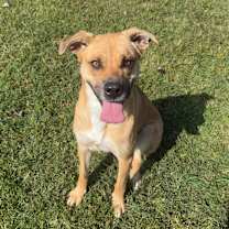 Thumbnail photo of Mayhem (May May) #4