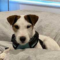 Thumbnail photo of Phinney #3