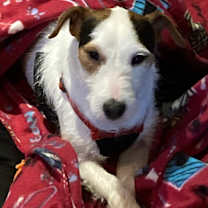 Thumbnail photo of Phinney #4