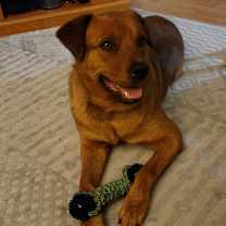 Thumbnail photo of Billy #2