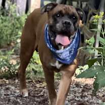 Thumbnail photo of Reeves #2