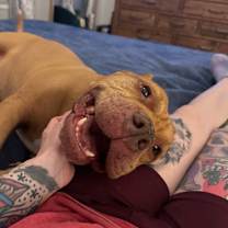 Thumbnail photo of Bailey #3