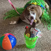 Thumbnail photo of Isaac H #1