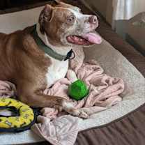 Thumbnail photo of Isaac H #3