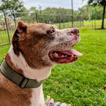 Thumbnail photo of Isaac H #4