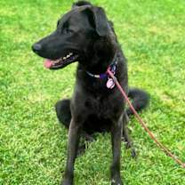 Thumbnail photo of Penny #2