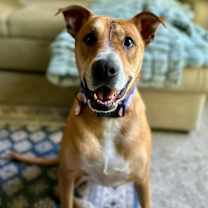 Thumbnail photo of Bagel #1