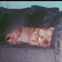 Thumbnail photo of Rocky #2