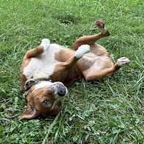 Thumbnail photo of Lucky #4