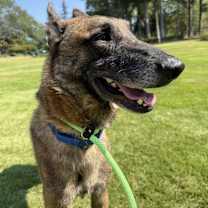 Thumbnail photo of Farva - Located in Alabama #1