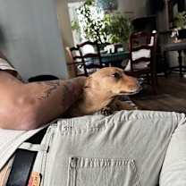 Thumbnail photo of Rip #2