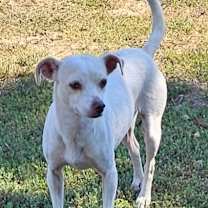 Thumbnail photo of Bonnie #1