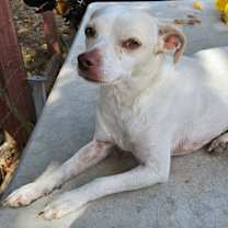 Thumbnail photo of Bonnie #2