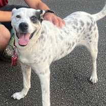 Thumbnail photo of Nora #4