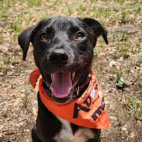 Thumbnail photo of Mr.Lavender AG #1