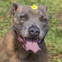 Thumbnail photo of Reba #3