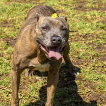 Thumbnail photo of Reba #4